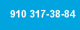 910 317-38-84